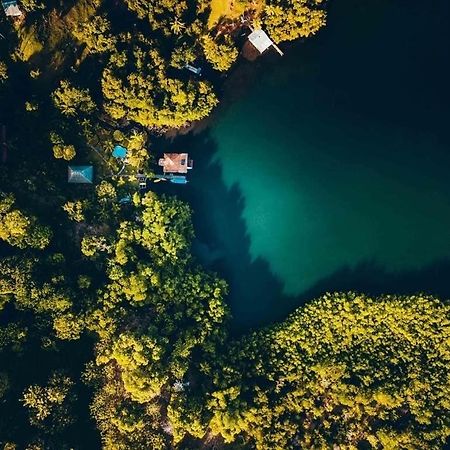 ボカス・タウン Dolphin Bay Hideaway Bed & Breakfast エクステリア 写真
